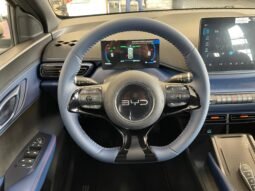 BYD Dolphin Mini 2026 completo