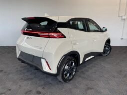 BYD Dolphin Mini 2026 completo