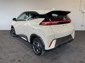 BYD Dolphin Mini 2026