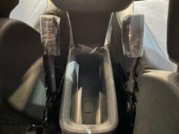 BYD Dolphin Mini 2026 completo