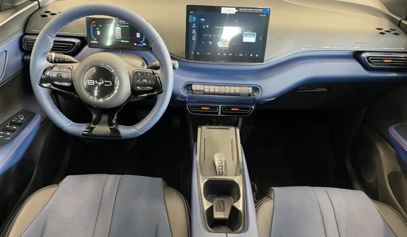 BYD Dolphin Mini 2026 completo