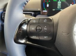 BYD Dolphin Mini 2026 completo