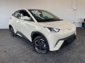 BYD Dolphin Mini 2026