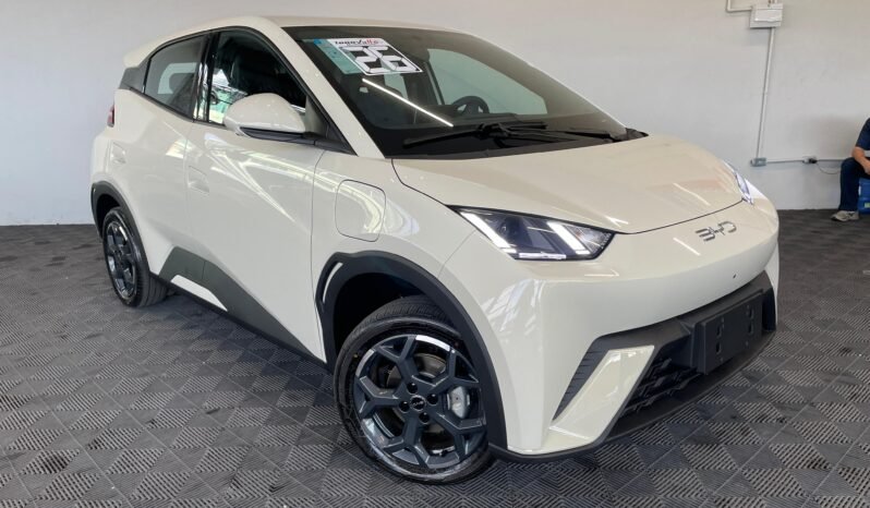 BYD Dolphin Mini 2026 completo