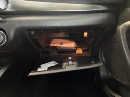 Fiat ARGO DRIVE 2025 completo