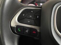 Fiat PULSE DRIVE 2023 completo