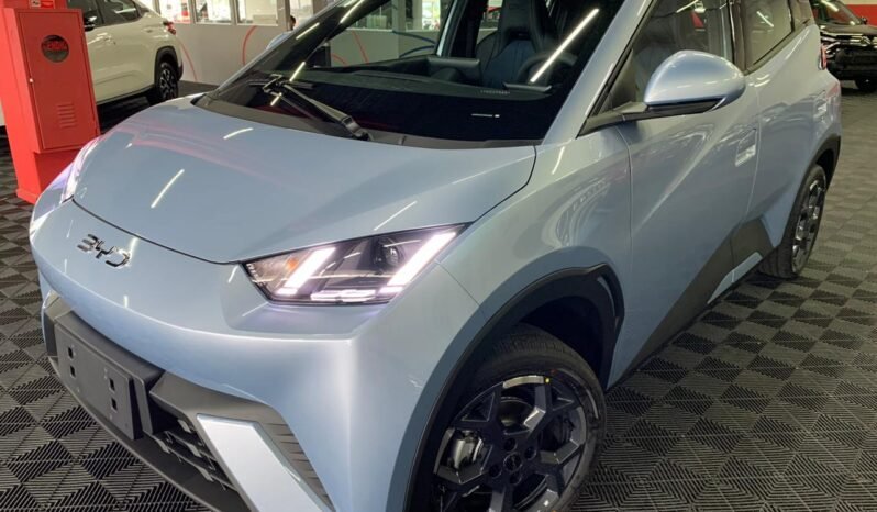 BYD Dolphin DOLPHIN MINI 2026 completo