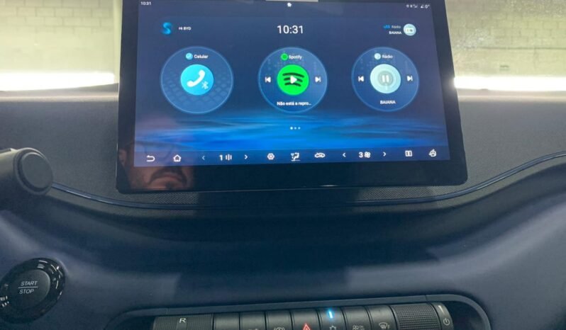 BYD Dolphin DOLPHIN MINI 2026 completo