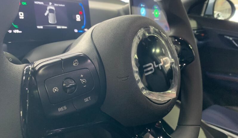 BYD Dolphin DOLPHIN MINI 2026 completo