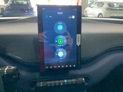 BYD Dolphin DOLPHIN MINI 2026 completo