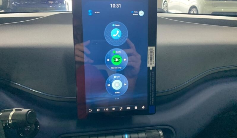 BYD Dolphin DOLPHIN MINI 2026 completo