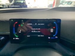 BYD Dolphin DOLPHIN MINI 2026 completo