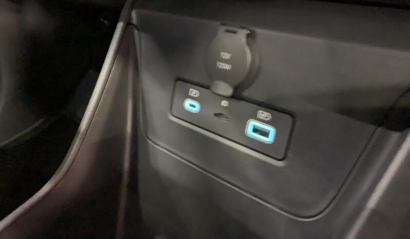 BYD Dolphin DOLPHIN MINI 2026 completo