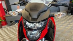 CG Fan 2026 completo