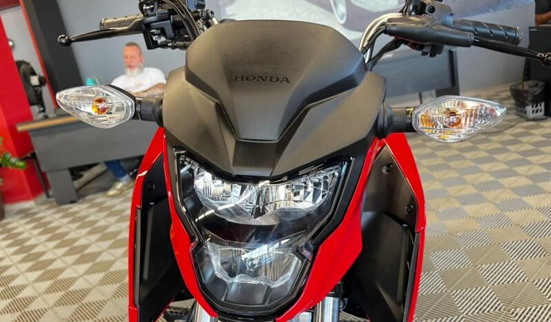 CG Fan 2026 completo