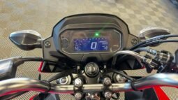 CG Fan 2026 completo