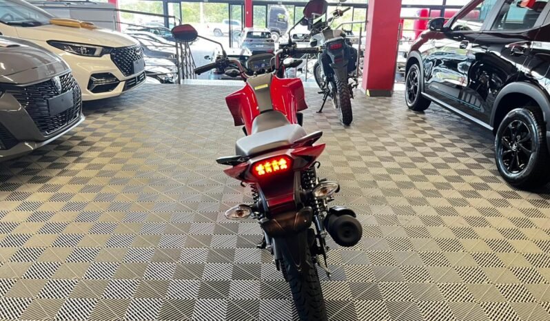 CG Fan 2026 completo