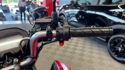 CG Fan 2026 completo