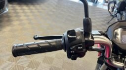 CG Fan 2026 completo