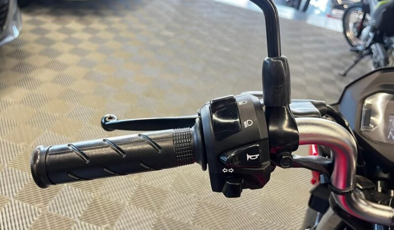 CG Fan 2026 completo