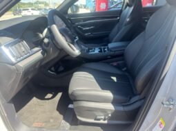 BYD Song Plus GS (Hibrido)  2027 completo