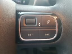 Citroën C4 CACTUS LIVE 2022 completo