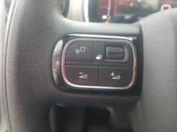 Citroën C4 CACTUS LIVE 2022 completo