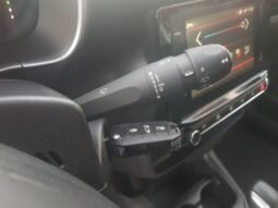 Citroën C4 CACTUS LIVE 2022 completo
