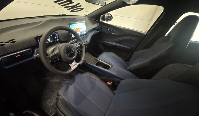 BYD DOLPHIN MINI GL 2026 completo