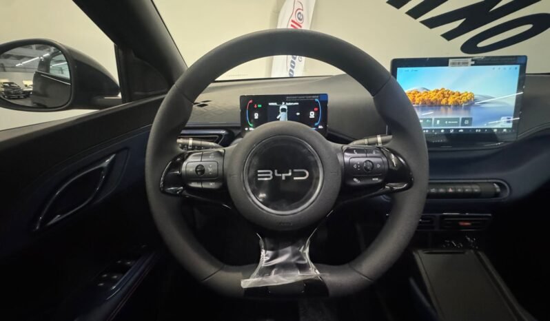 BYD DOLPHIN MINI GL 2026 completo
