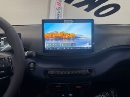 BYD DOLPHIN MINI GL 2026 completo