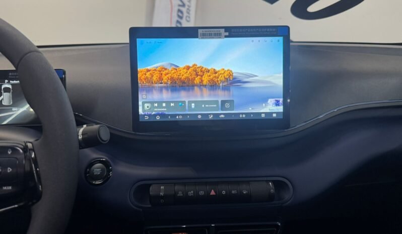 BYD DOLPHIN MINI GL 2026 completo