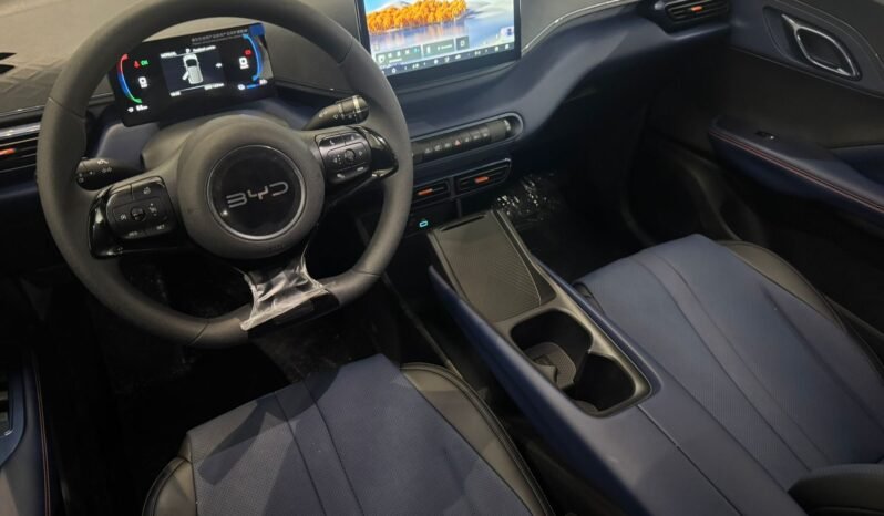 BYD DOLPHIN MINI GL 2026 completo