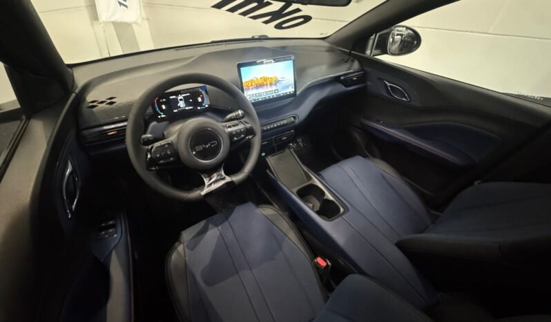 BYD DOLPHIN MINI GL 2026 completo