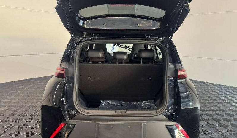 BYD DOLPHIN MINI GL 2026 completo