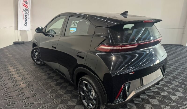 BYD Dolphin MINI GL 2027 completo