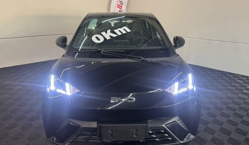 BYD Dolphin MINI GL 2027 completo