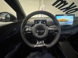 BYD Dolphin MINI GL 2027 completo