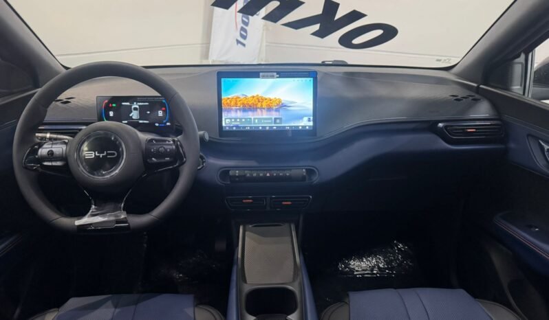 BYD Dolphin MINI GL 2027 completo