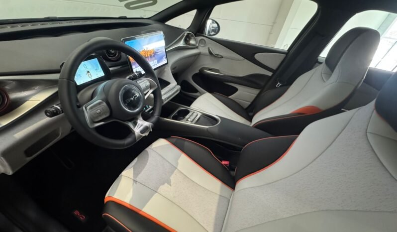 BYD Dolphin GS 2027 completo
