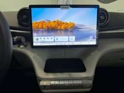 BYD Dolphin GS 2027 completo