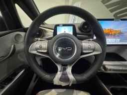 BYD Dolphin GS 2027 completo