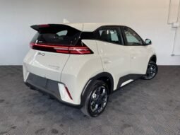 BYD Dolphin Mini2027 completo