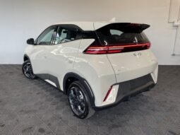 BYD Dolphin Mini2027
