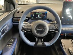 BYD Dolphin Mini2027 completo