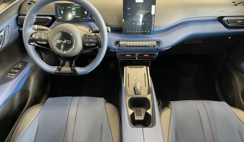 BYD Dolphin Mini2027 completo
