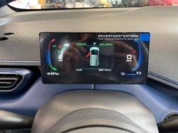 BYD Dolphin Mini2027 completo