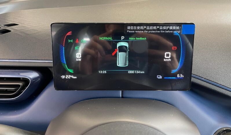 BYD Dolphin Mini2027 completo