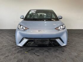 BYD Dolphin Mini 2027