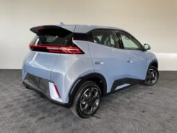 BYD Dolphin Mini 2027 completo